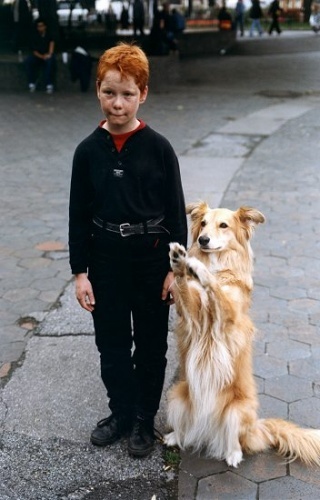 Návrat ztraceného ráje