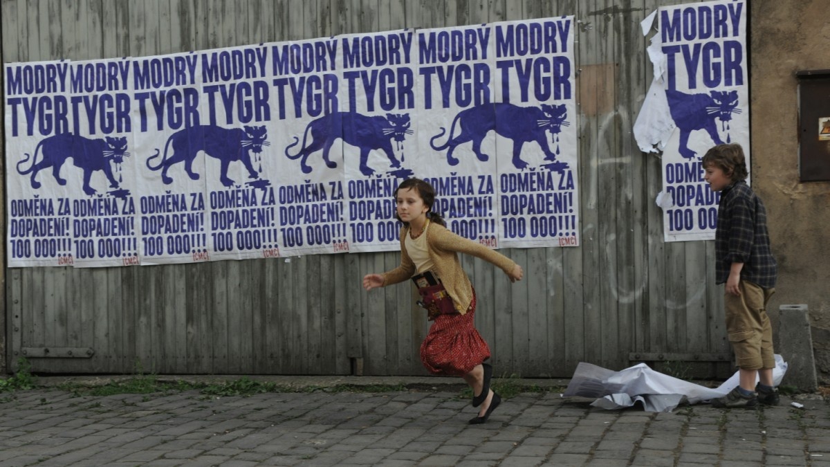Modrý tygr Modrý tygr