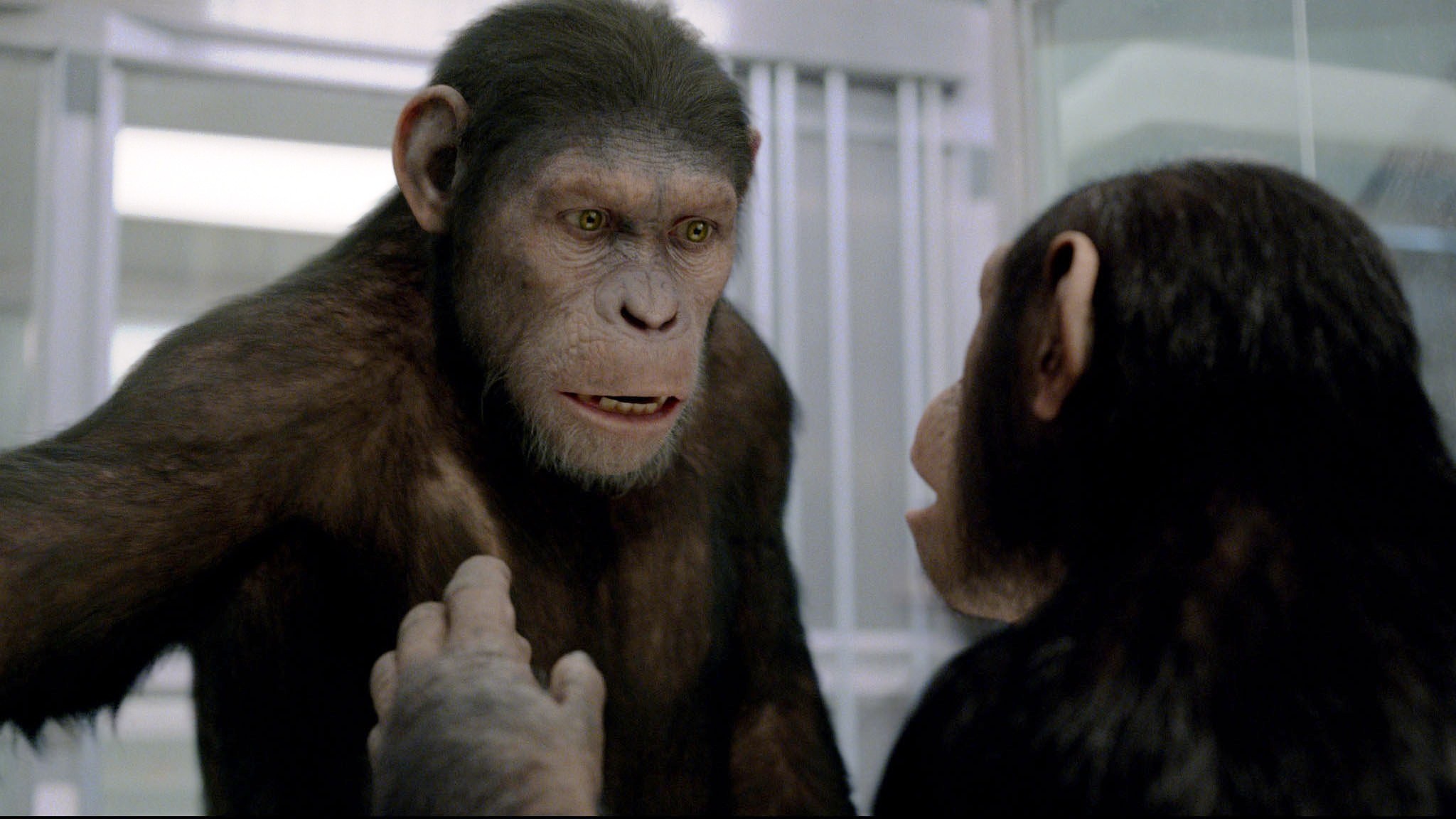 Zrození Planety opic