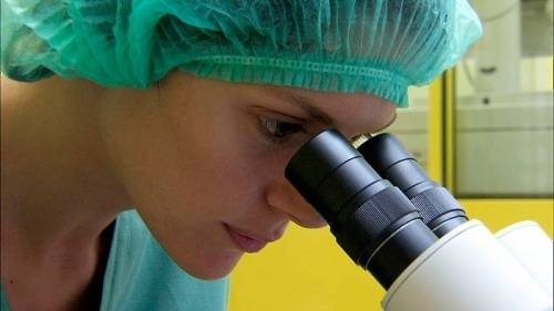 Soukromé pasti: Ukradená spermie