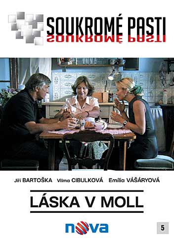 Soukromé pasti: Láska v moll