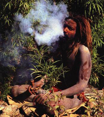 One love - příběh o návratu Rastafariánů z... One love - příběh o návratu Rastafariánů z...