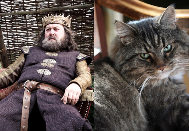 game-of-cats-2