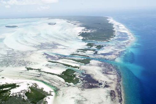 Aldabra: Byl jednou jeden ostrov Aldabra: Byl jednou jeden ostrov