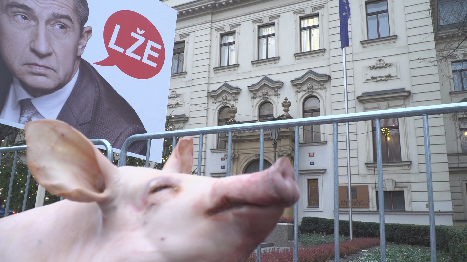 Selský rozum