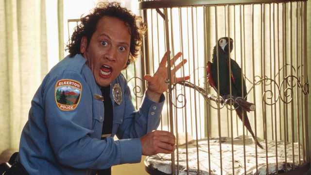 Rob Schneider