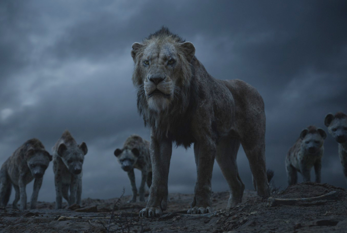 Lví král (2019)