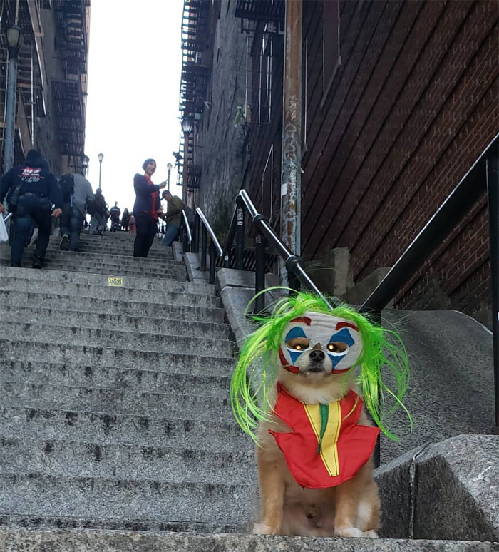 nova-selfie-manie-jokerovy-schody-jsou-oficialne-turistickou-atrakci