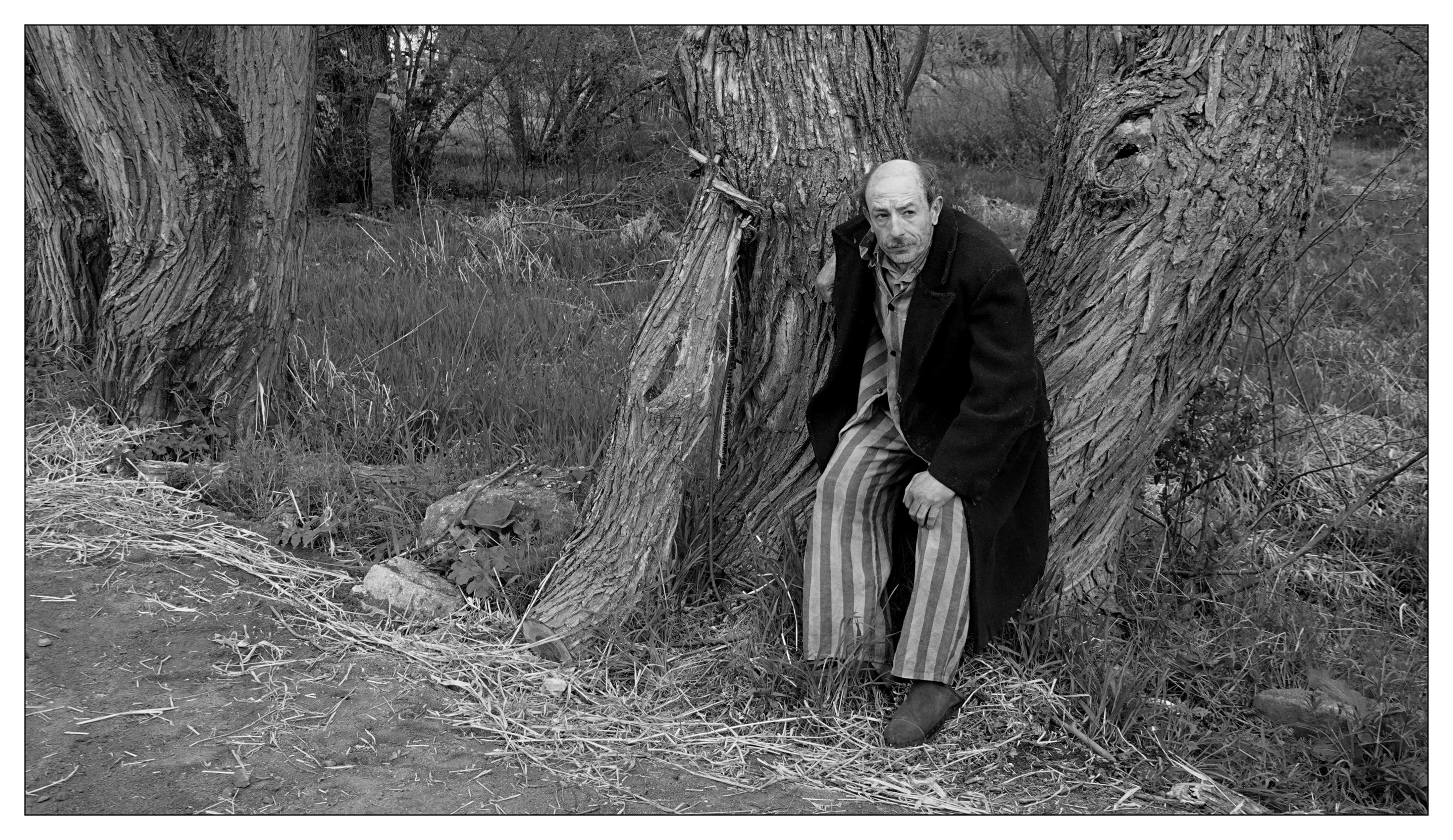 Krajina ve stínu Krajina ve stínu
