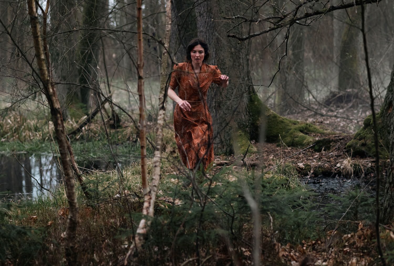 Král Šumavy: Fantom temného kraje