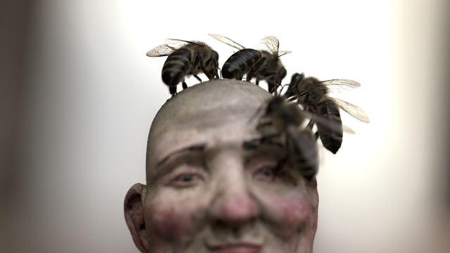 Všechno dobře dopadne