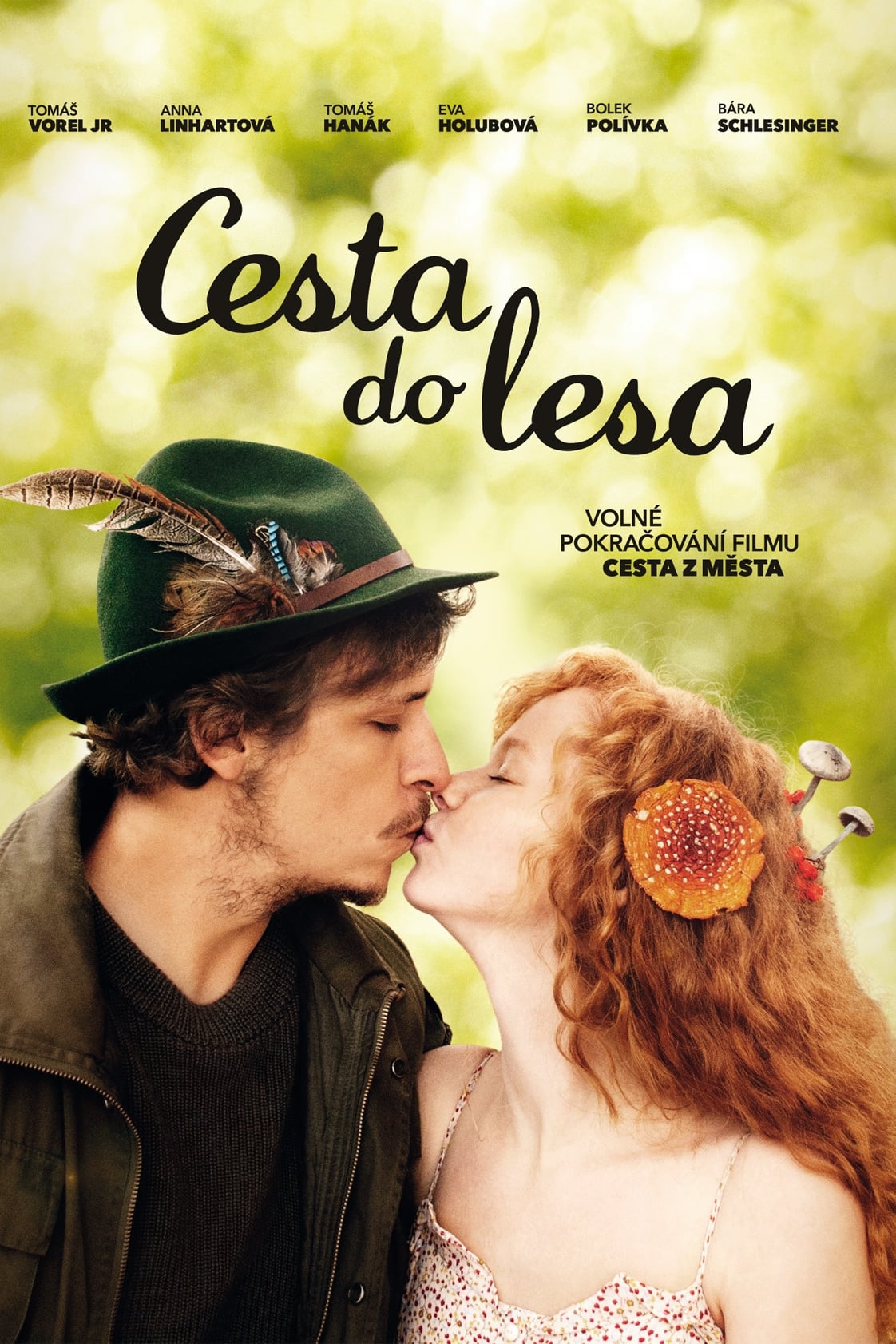 Cesta do lesa Cesta do lesa