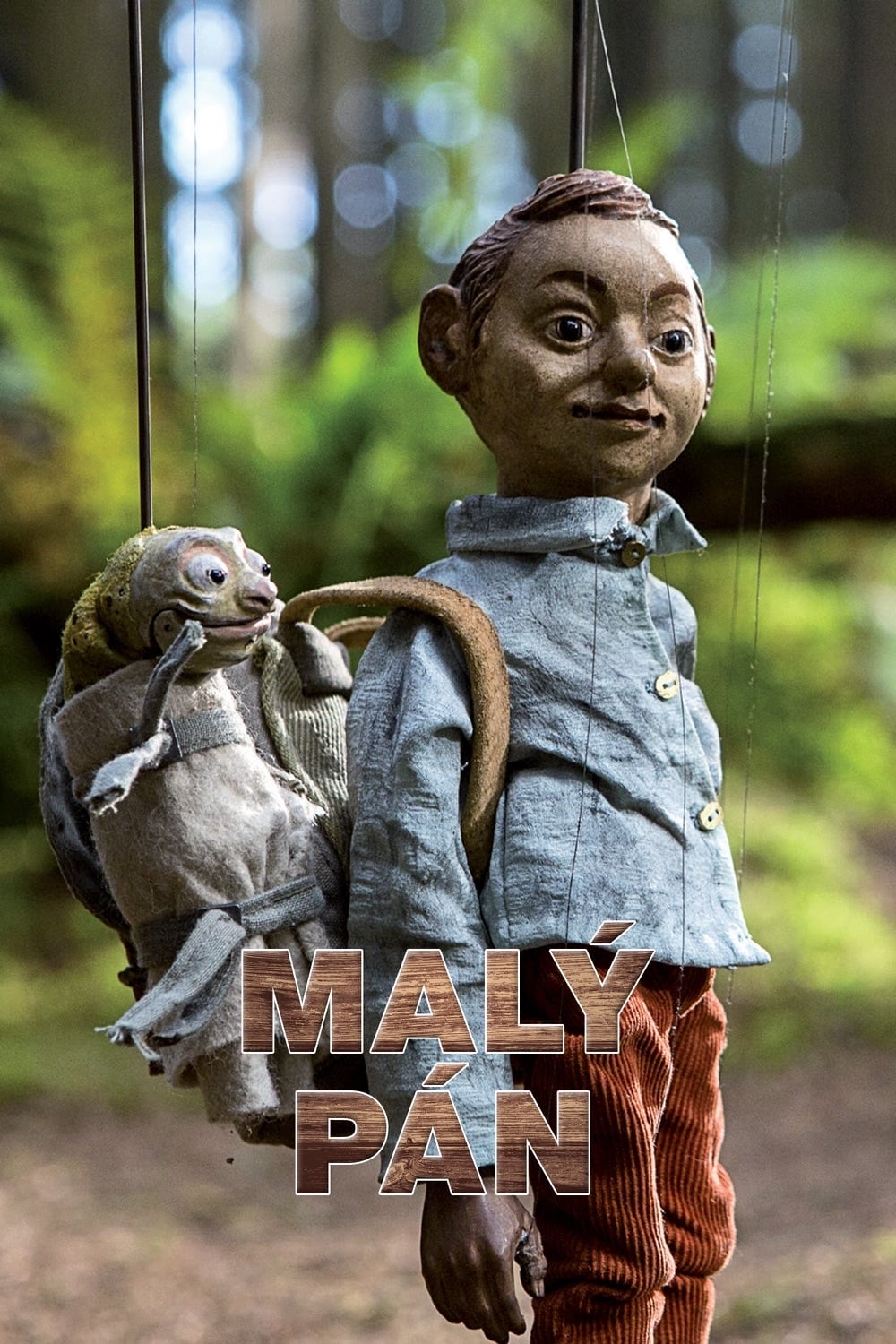 Malý pán Malý pán