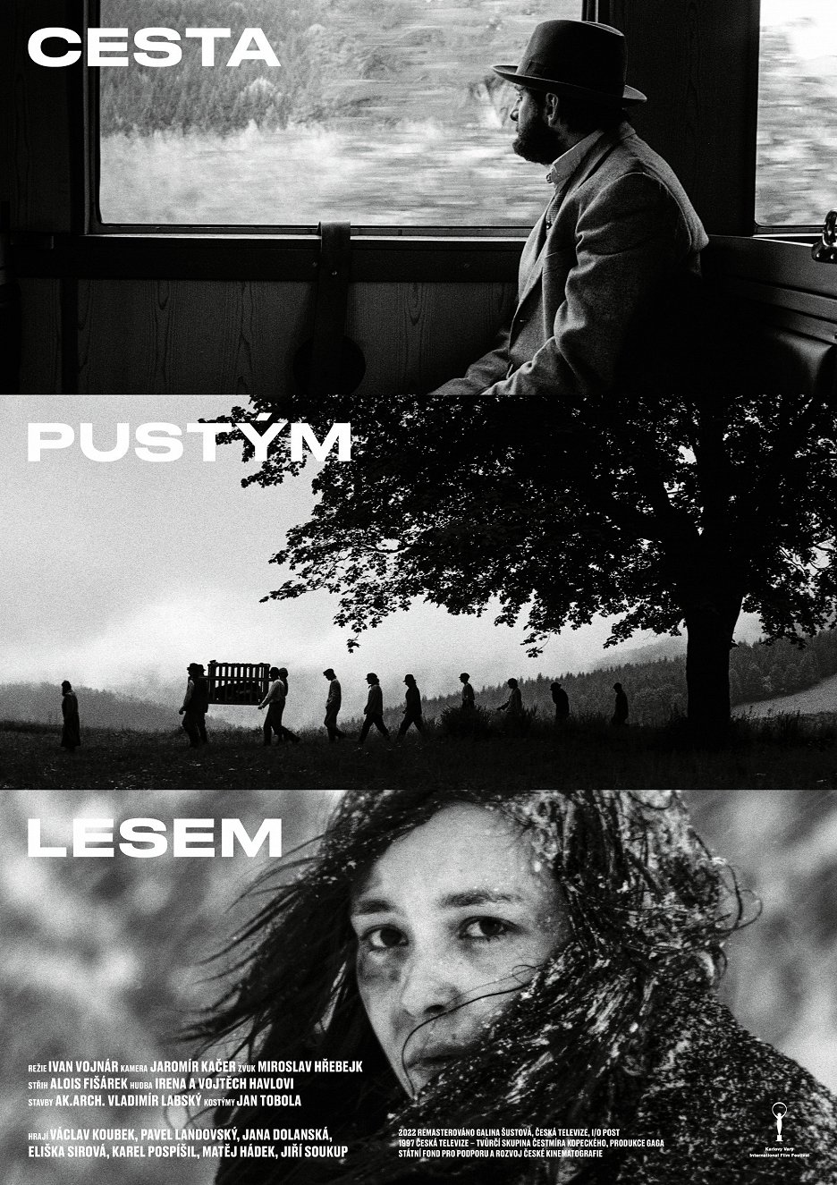 Cesta pustým lesem Cesta pustým lesem