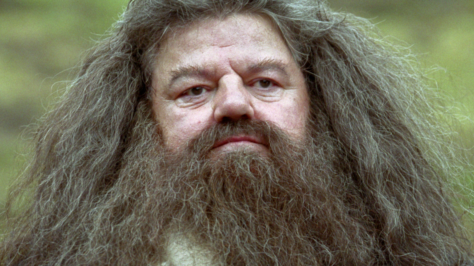 Robbie Coltrane jako Rubeus Hagrid