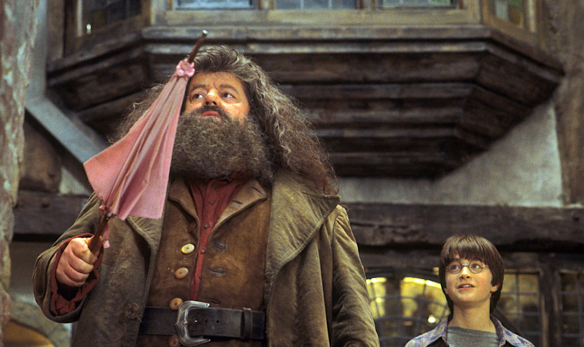Robbie Coltrane jako Rubeus Hagrid