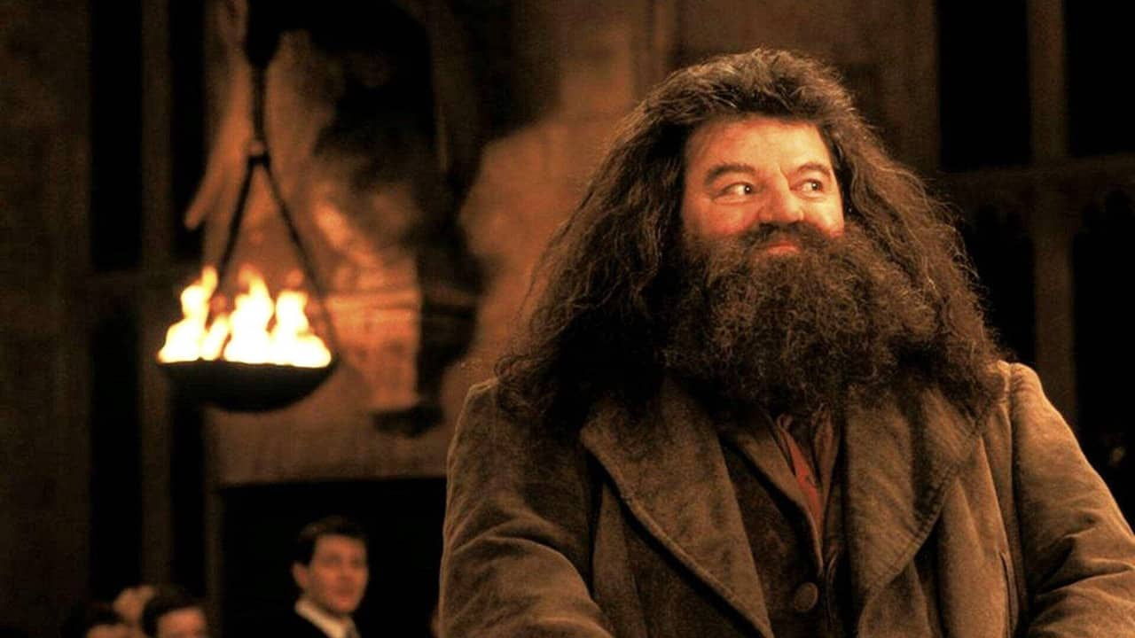 Robbie Coltrane jako Rubeus Hagrid