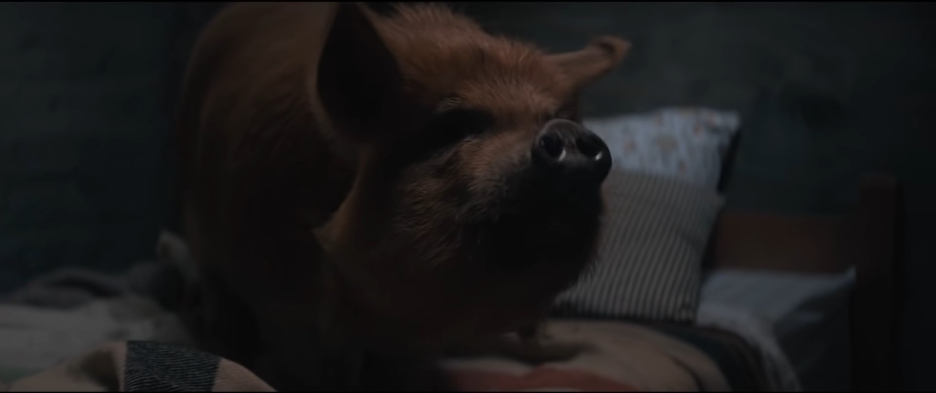 Pig (2021)