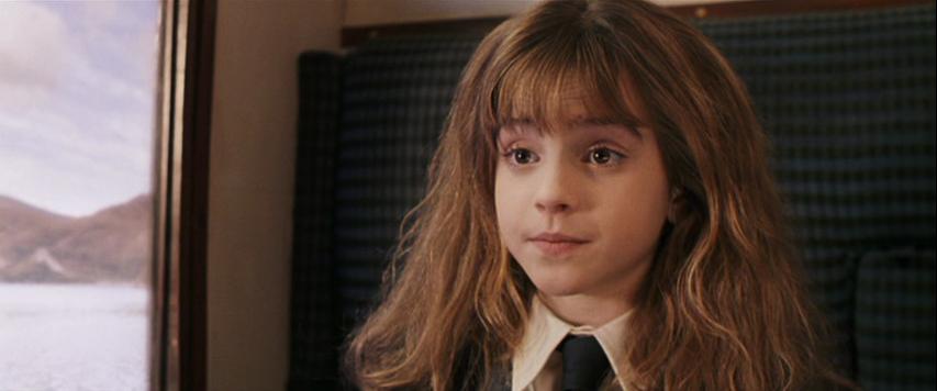 Harry Potter a Kámen mudrců