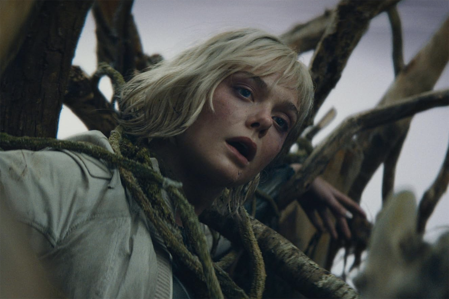 Predátor: Nebezpečné území