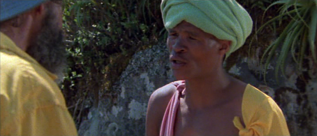 Bohové musí být šílení (1980)