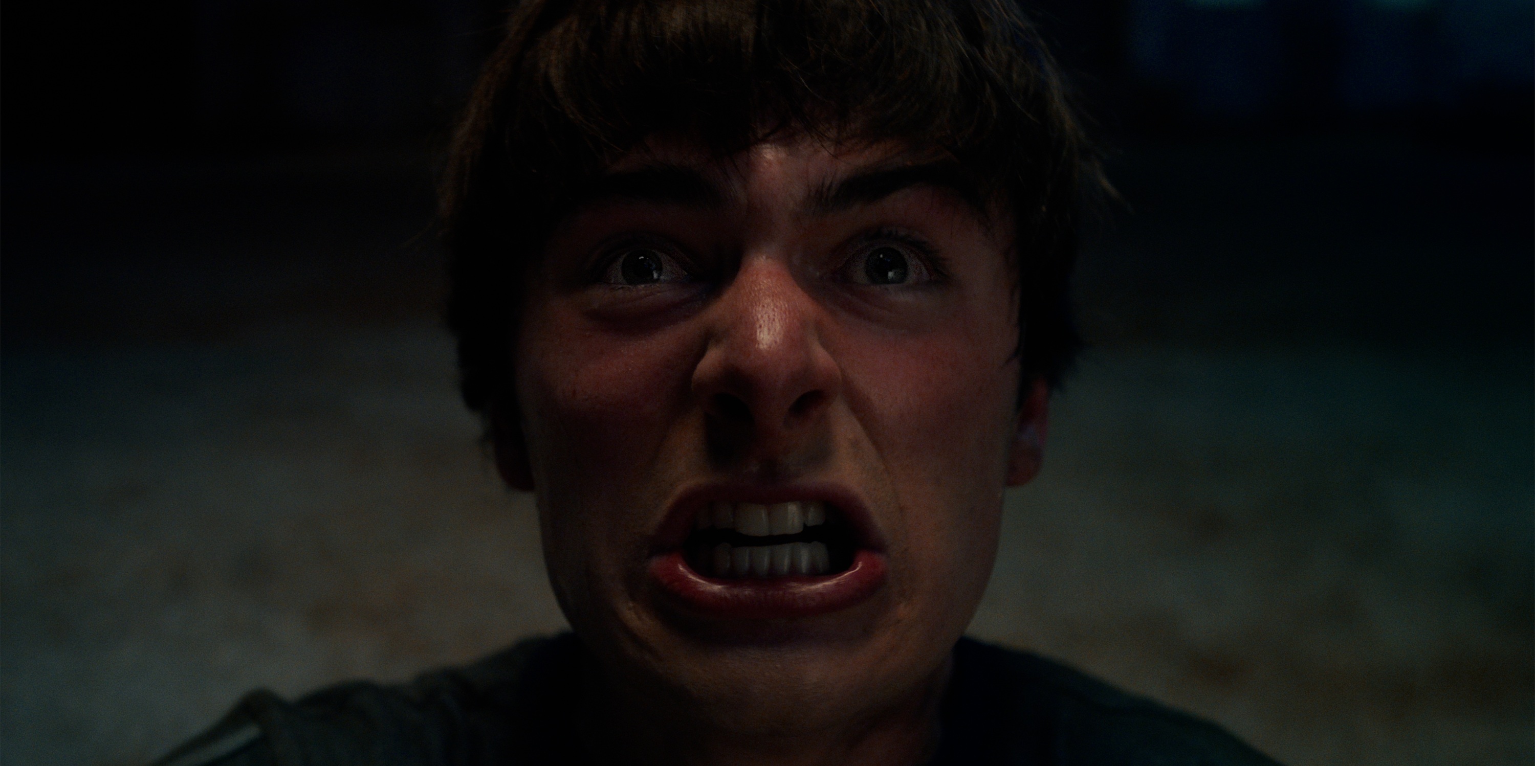 Stranger Things, 5. série