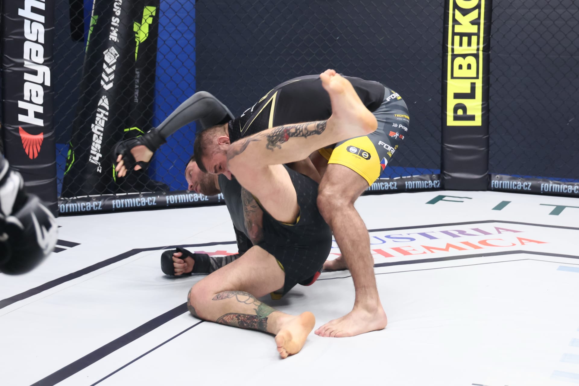 Karel vs. Karlos