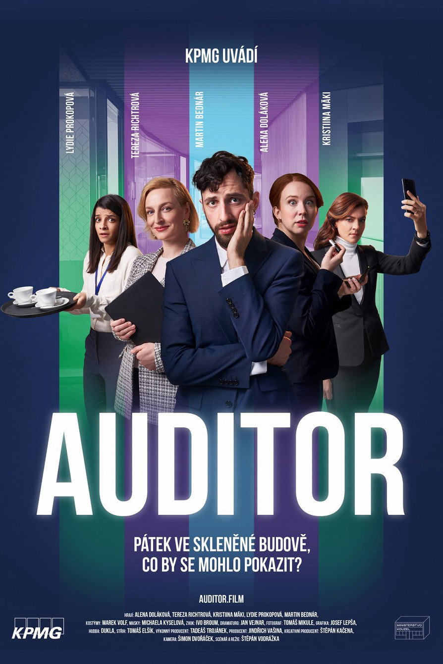 Auditor Auditor
