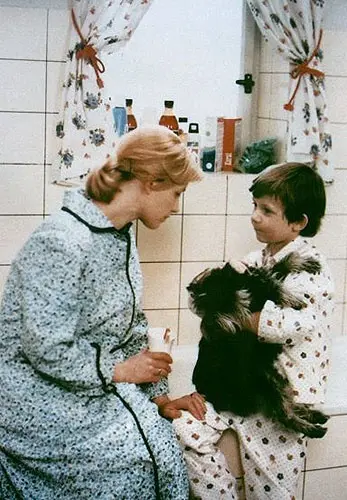 Jak vytrhnout velrybě stoličku