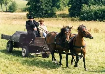 Rudolf Hrušínský ml. - Markétin zvěřinec (1998), Obrázek #1