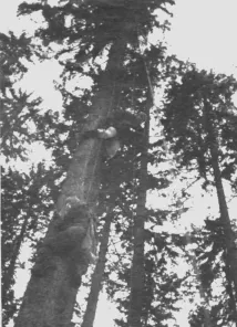 Maroš Kramár