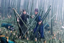 Takeshi Kaneshiro - Klan létajících dýk (2004), Obrázek #15