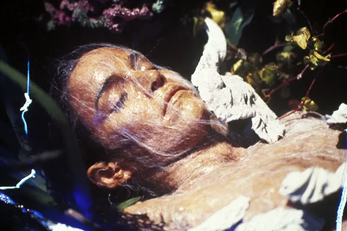 Invaze zlodějů těl