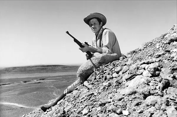 100 000 dolarů na slunci