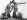 Sidney Poitier - Útěk v řetězech (1958), Obrázek #5