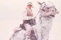 Mark Hamill - Star Wars: Epizoda V - Impérium vrací úder (1980), Obrázek #1