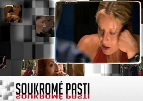 Soukromé pasti uchvátily Elsu!