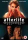 Afterlife