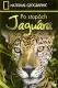 Po stopách jaguára