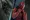 Topher Grace - Spider-Man 3 (2007), Obrázek #1