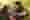 f1d6dea66209d32c8f84cc9c3d3518faada9613cc