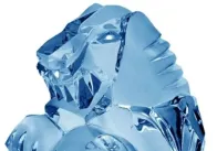 Životopis Českého lva