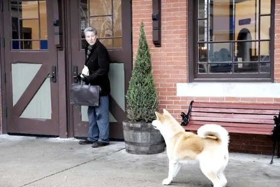 recenze-haciko-pribeh-psa-1