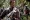 Adrien Brody - Predátoři (2010), Obrázek #7