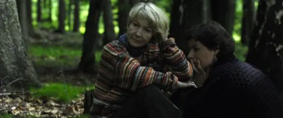 Českým kandidátem na Oscara je Kawasakiho růže