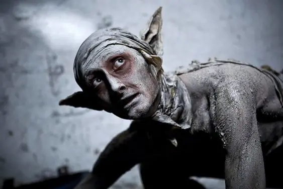 ceskym-kandidatem-na-oscara-je-kawasakiho-ruze-58