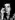 Nick Cave -  Obrázek #1