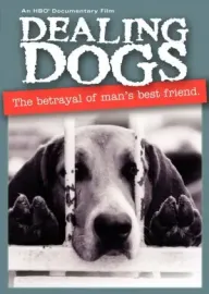 Dealing Dogs