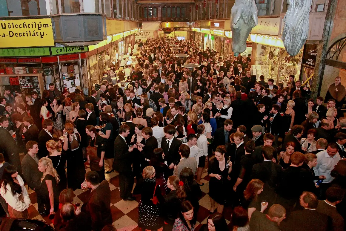 spokojena-lucerna-nejlepsi-lev-za-posledni-leta-13