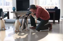 Jim Carrey - Pan Popper a jeho tučňáci (2011), Obrázek #5